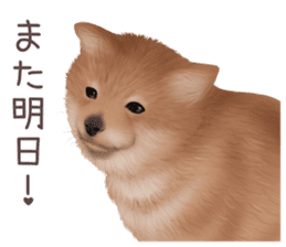 zumo dogs sticker vol.1 (Japanese) sticker #9168233