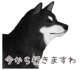 zumo dogs sticker vol.1 (Japanese) sticker #9168234