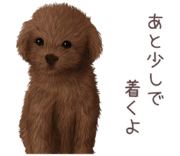 zumo dogs sticker vol.1 (Japanese) sticker #9168235