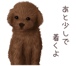 zumo dogs sticker vol.1 (Japanese) sticker #9168235