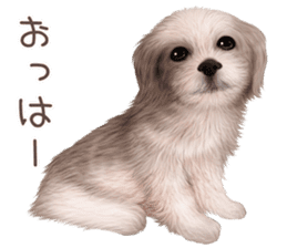 zumo dogs sticker vol.1 (Japanese) sticker #9168237