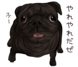zumo dogs sticker vol.1 (Japanese) sticker #9168238