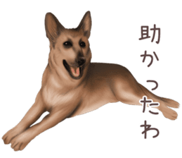 zumo dogs sticker vol.1 (Japanese) sticker #9168239