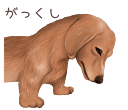 zumo dogs sticker vol.1 (Japanese) sticker #9168240