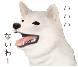 zumo dogs sticker vol.1 (Japanese) sticker #9168241