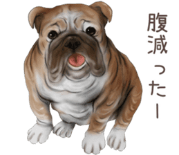 zumo dogs sticker vol.1 (Japanese) sticker #9168243