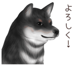 zumo dogs sticker vol.1 (Japanese) sticker #9168246