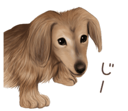 zumo dogs sticker vol.1 (Japanese) sticker #9168248