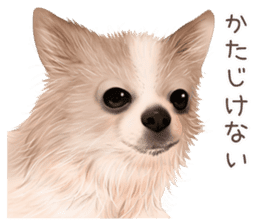 zumo dogs sticker vol.1 (Japanese) sticker #9168249