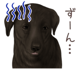zumo dogs sticker vol.1 (Japanese) sticker #9168250