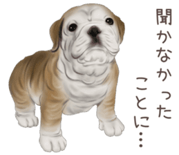 zumo dogs sticker vol.1 (Japanese) sticker #9168251
