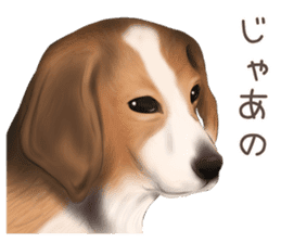 zumo dogs sticker vol.1 (Japanese) sticker #9168252