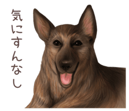 zumo dogs sticker vol.1 (Japanese) sticker #9168254