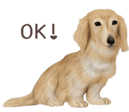 zumo dogs sticker vol.1 (Japanese) sticker #9168256