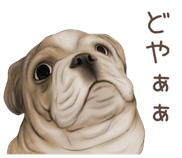 zumo dogs sticker vol.1 (Japanese) sticker #9168257