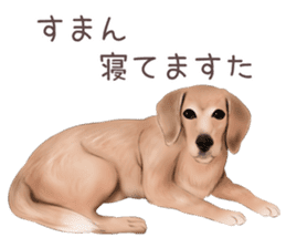 zumo dogs sticker vol.1 (Japanese) sticker #9168260