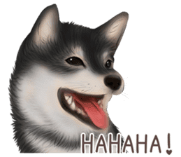 zumo dogs sticker vol.1 (Japanese) sticker #9168263