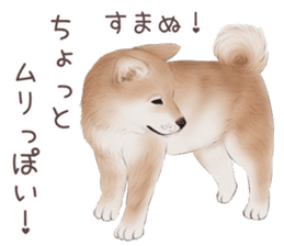 zumo dogs sticker vol.1 (Japanese) sticker #9168264