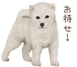 zumo dogs sticker vol.1 (Japanese) sticker #9168266