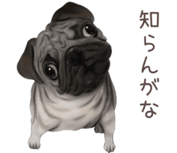 zumo dogs sticker vol.1 (Japanese) sticker #9168267