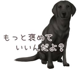 zumo dogs sticker vol.1 (Japanese) sticker #9168269