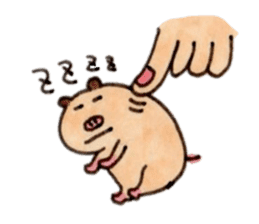 Kinkuma hamster "Hamuhamu"5 sticker #9168792