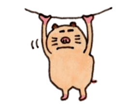 Kinkuma hamster "Hamuhamu"5 sticker #9168794
