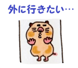Kinkuma hamster "Hamuhamu"5 sticker #9168796