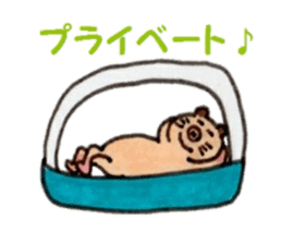 Kinkuma hamster "Hamuhamu"5 sticker #9168802