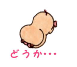 Kinkuma hamster "Hamuhamu"5 sticker #9168807