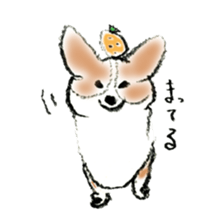 Corgie Hanachan sticker #9168877