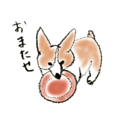Corgie Hanachan sticker #9168879