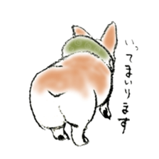 Corgie Hanachan sticker #9168881