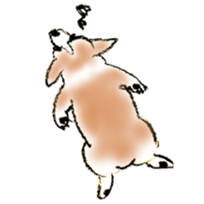 Corgie Hanachan sticker #9168883