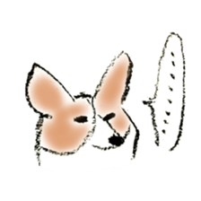 Corgie Hanachan sticker #9168884