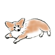 Corgie Hanachan sticker #9168886