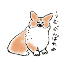 Corgie Hanachan sticker #9168889