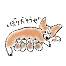 Corgie Hanachan sticker #9168891