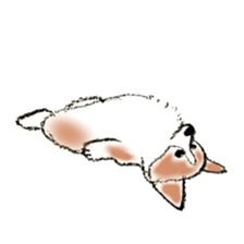 Corgie Hanachan sticker #9168894