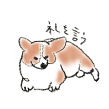 Corgie Hanachan sticker #9168900