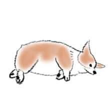 Corgie Hanachan sticker #9168902