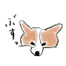 Corgie Hanachan sticker #9168904