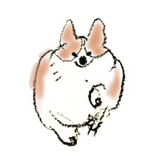 Corgie Hanachan sticker #9168905