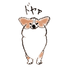 Corgie Hanachan sticker #9168908