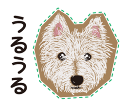 westie Hachibe3 sticker #9169943