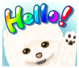 Pomeranian Love sticker #9169952