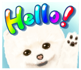 Pomeranian Love sticker #9169952