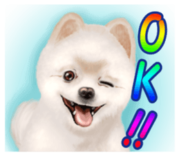Pomeranian Love sticker #9169957