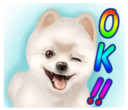 Pomeranian Love sticker #9169957