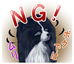 Pomeranian Love sticker #9169958